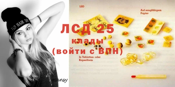 гашик Семилуки