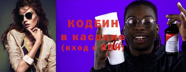 гидра Абаза