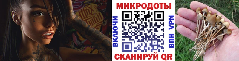 Галлюциногенные грибы GOLDEN TEACHER  где продают   Богданович 