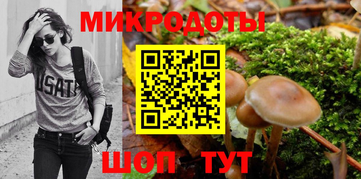 Псилоцибиновые грибы ЛСД Богданович
